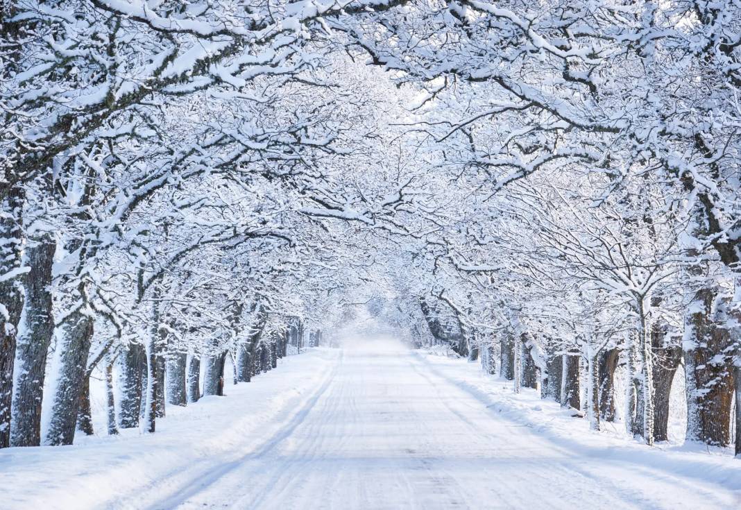 Meteoroloji o iller için tehlike çanları çaldı: Türkiye kar altında! 4