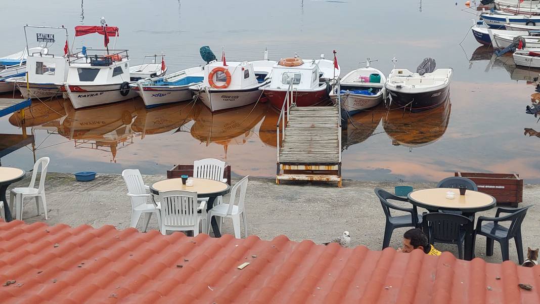 Marmara’da büyük tehlike dip köşe her yeri istila etti 3