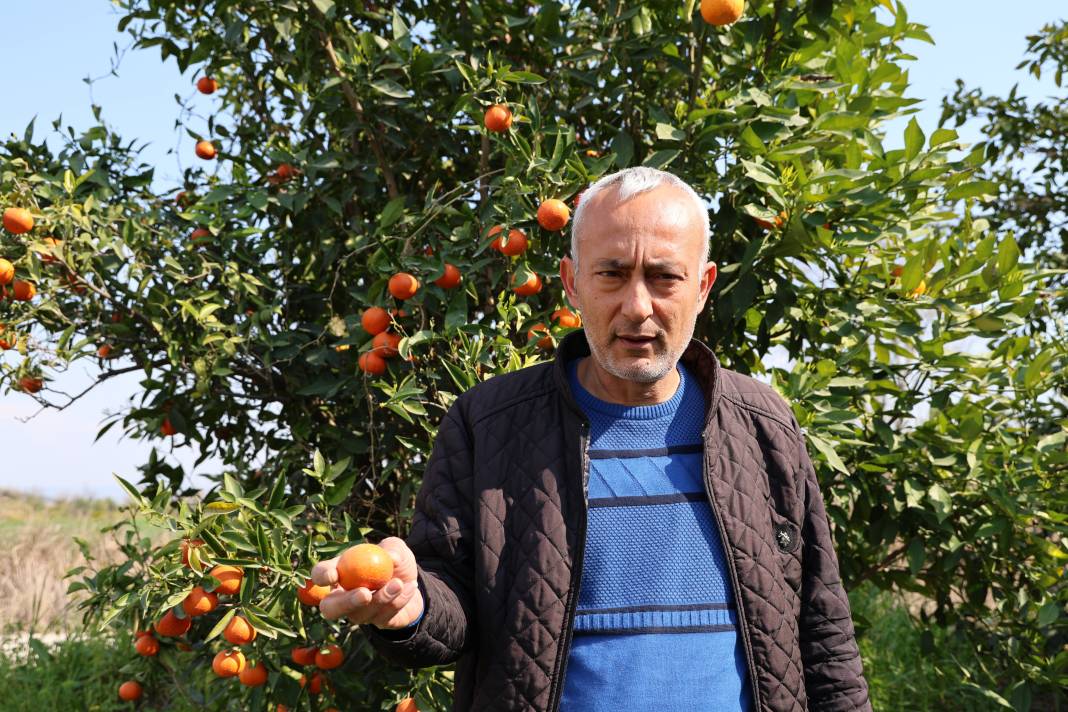 Çiftçiler kara kara düşünüyor: Bedavaya bile almak istemiyorlar! 2