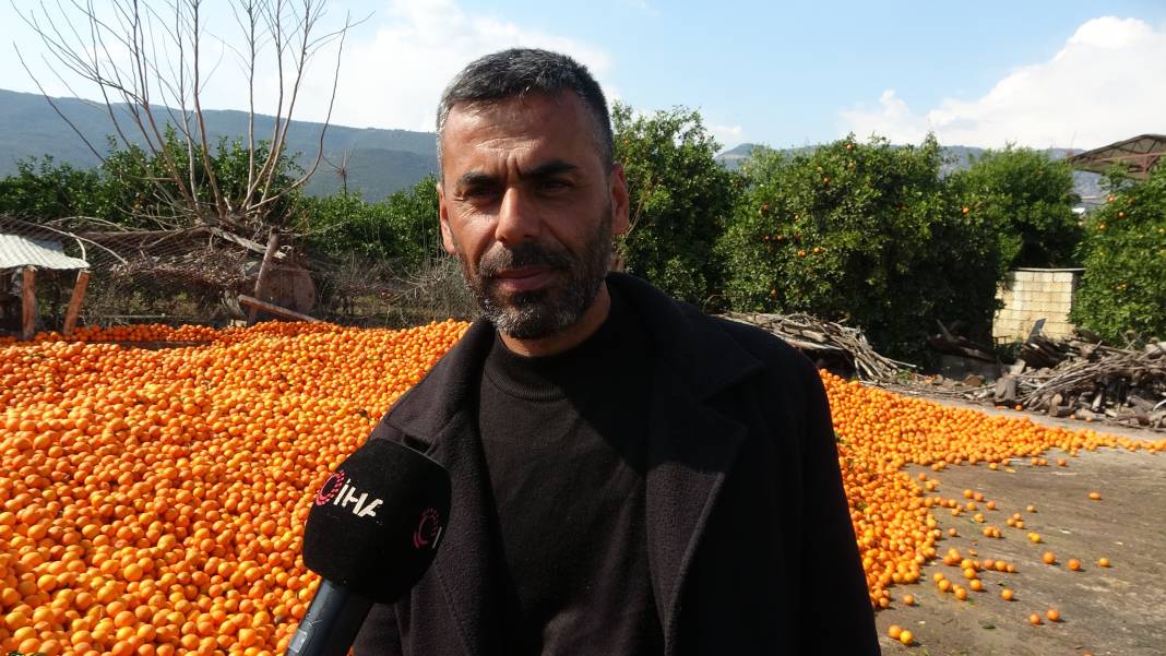 Çiftçiler kara kara düşünüyor: Bedavaya bile almak istemiyorlar! 3