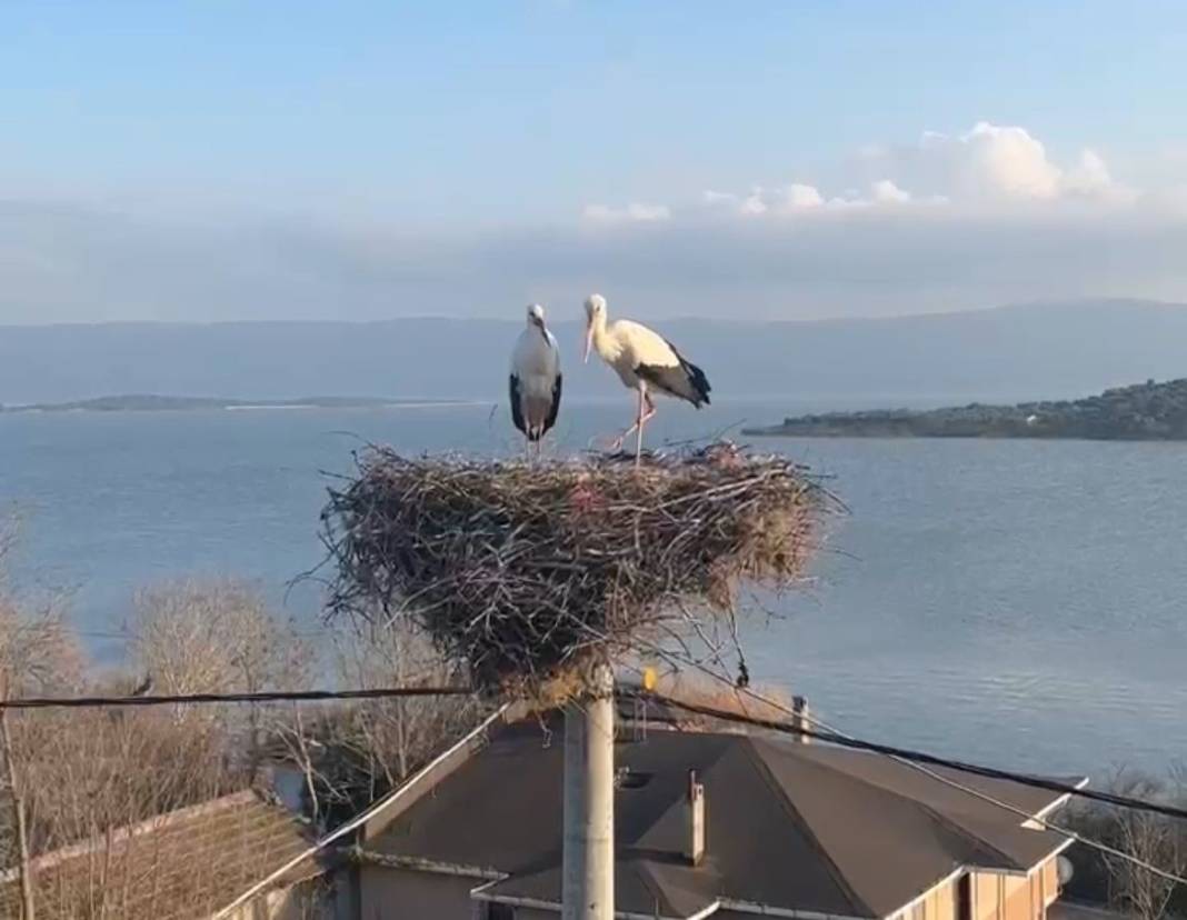 Leylek Yaren eşini balıkçı Adem ile tanıştırdı 1