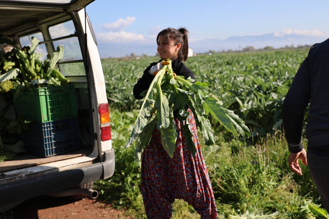 Tarlada 20 restoranda 400 lira çiftçiler için elmastan daha değerli 4