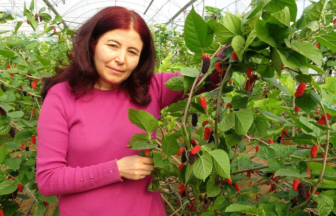 Maliyeti düşük kazancı çok işte çiftçilerin yeni gözbebeği 2