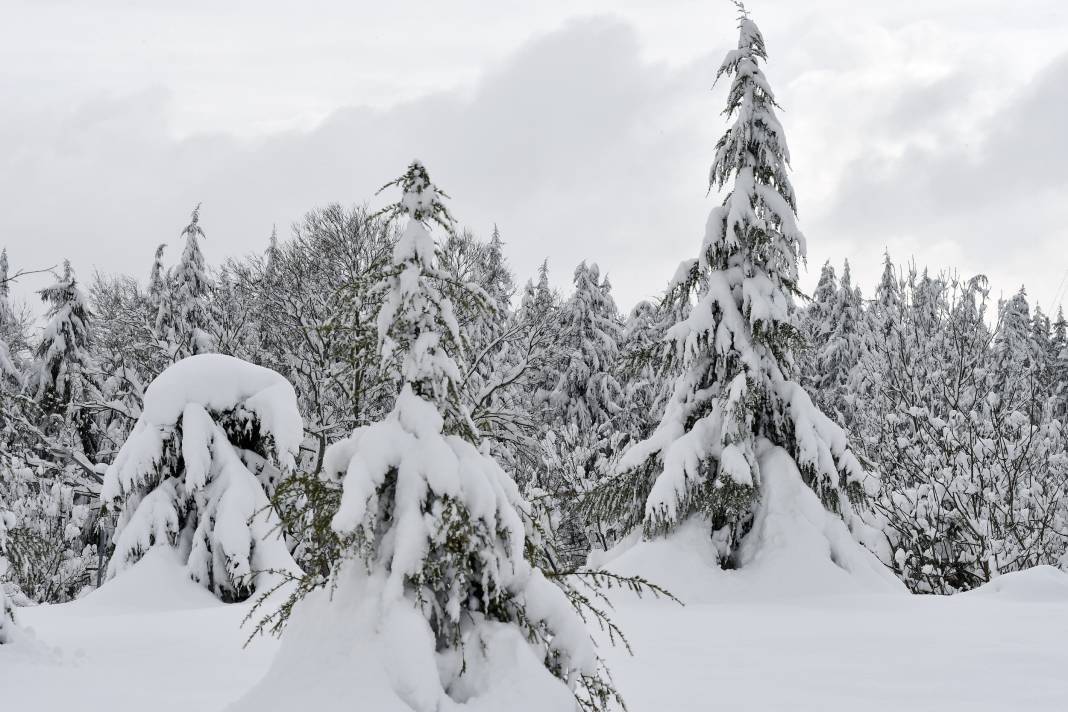 Meteoroloji o iller için tehlike çanları çaldı: Türkiye kar altında! 14