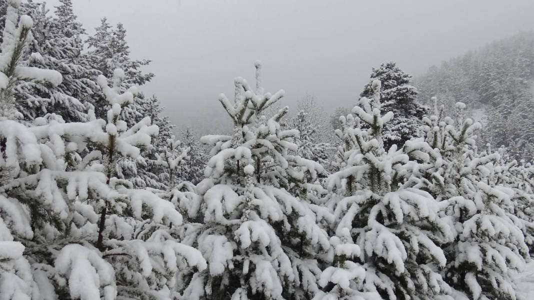 Meteoroloji'den kritik uyarı: Sıcaklıklar düşecek... Türkiye beyaza bürünecek! 7