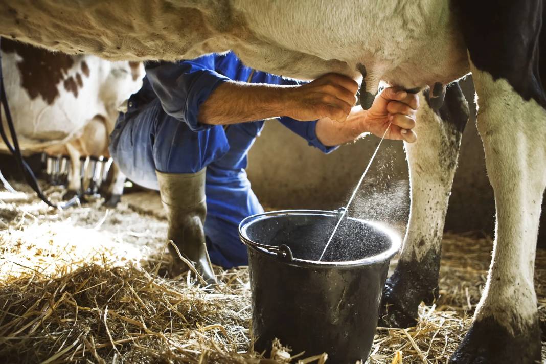 Ünlü süt üretim firması kepenk indirdi: Yılların markasından kara haber geldi 3