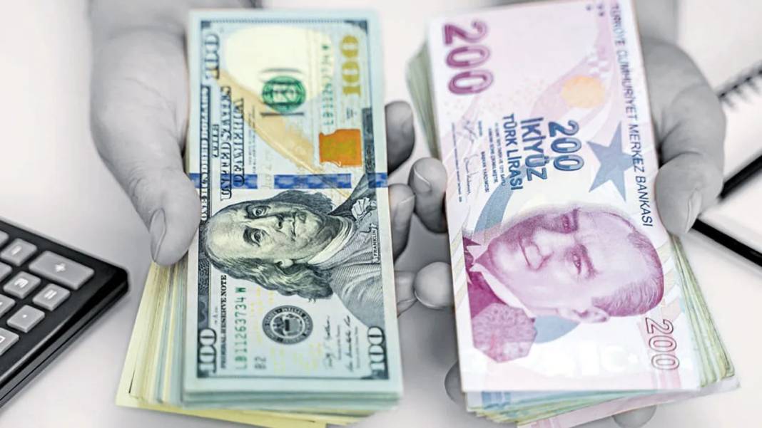 Şakkadanak Necmettin ilk kez çok net konuştu! Dolar o rakamı görecek 13