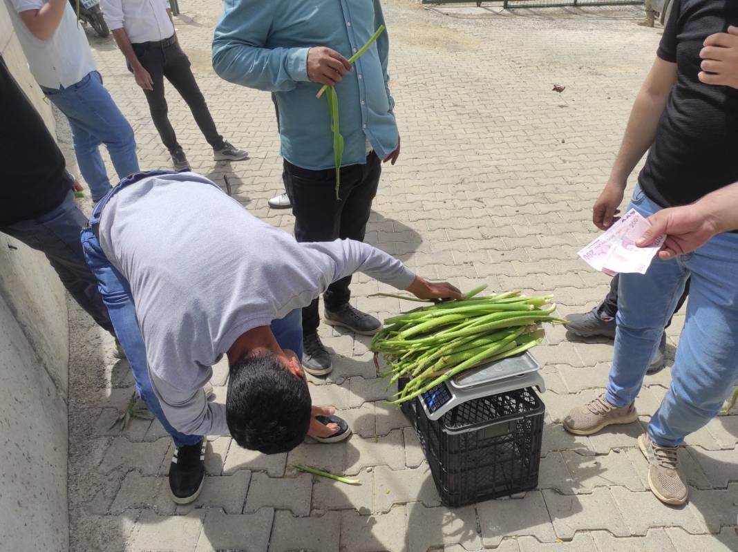 Kilosunu 200 liradan satıyorlar dağlardan fışkırıyor duyan toplamak için 5 saat yol yürüyor 2