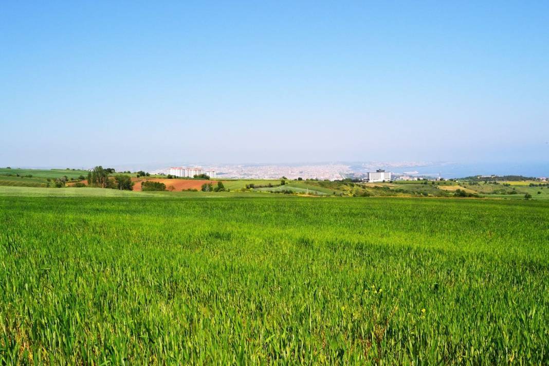 Birikmiş 50 bin lirası olana arsa tapusu fırsatı: Milli Emlak tüm detaylarıyla duyurdu 8