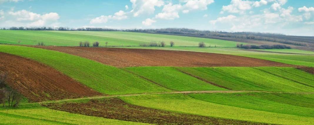 Birikmiş 50 bin lirası olana arsa tapusu fırsatı: Milli Emlak tüm detaylarıyla duyurdu 2