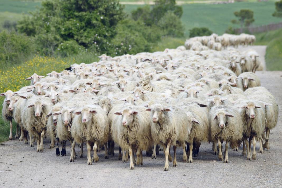 50 bin liraya çalışacak eleman bulamıyorlar: Patronlar isyanda zam ufukta 1