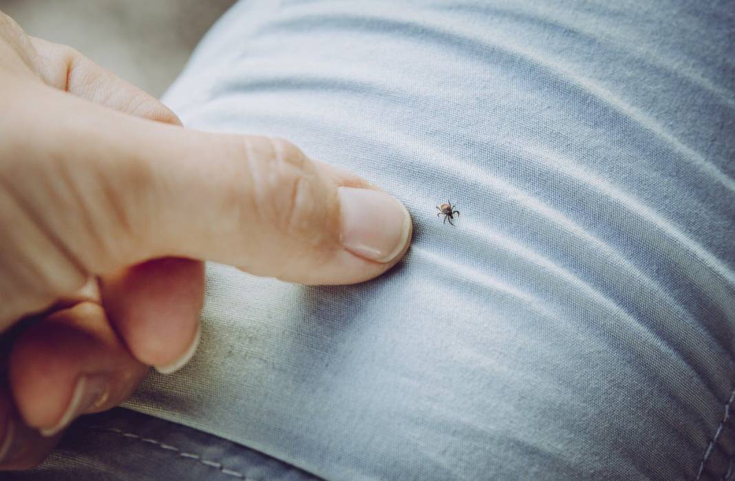 Kimi sigara basıyor kimi benzin döküyor: Bu yöntemler ölüme götürüyor! 3