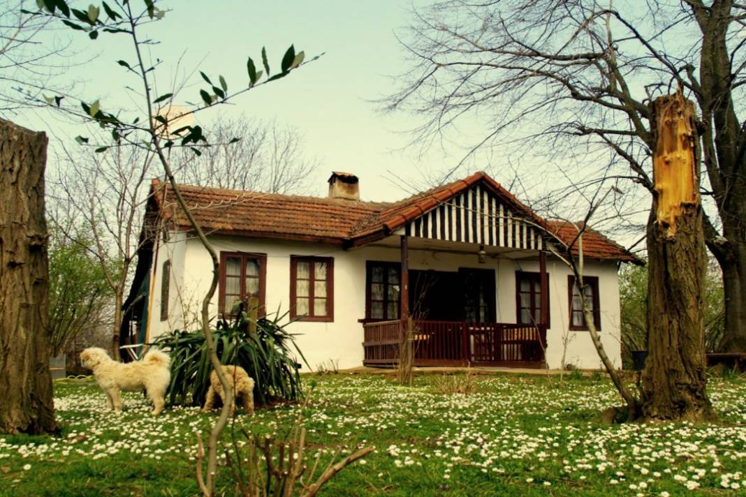 Köyde evi ve kıyıda yazlığı olanlar başını taşlara vuracak: Kat kat vergi ödeyecekler 9