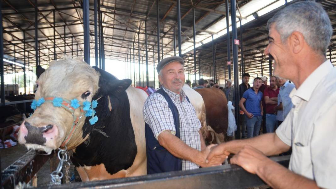 İşte 10 soruda kurbanla ilgili merak edilenler! 7