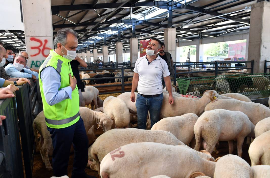 İşte 10 soruda kurbanla ilgili merak edilenler! 1