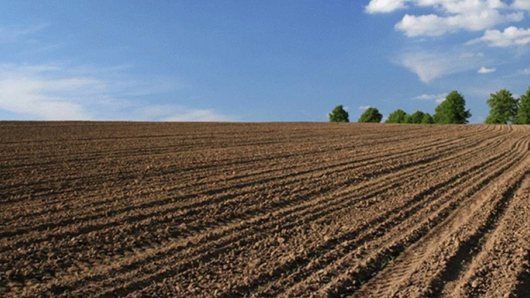 Arsa ve tarla alırken dikkat: Aldığınız tapu boşa gidebilir 5