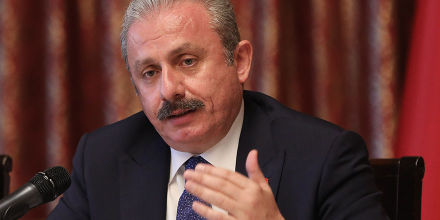 TBMM Başkanı Mustafa Şentop'tan idam açıklaması! 