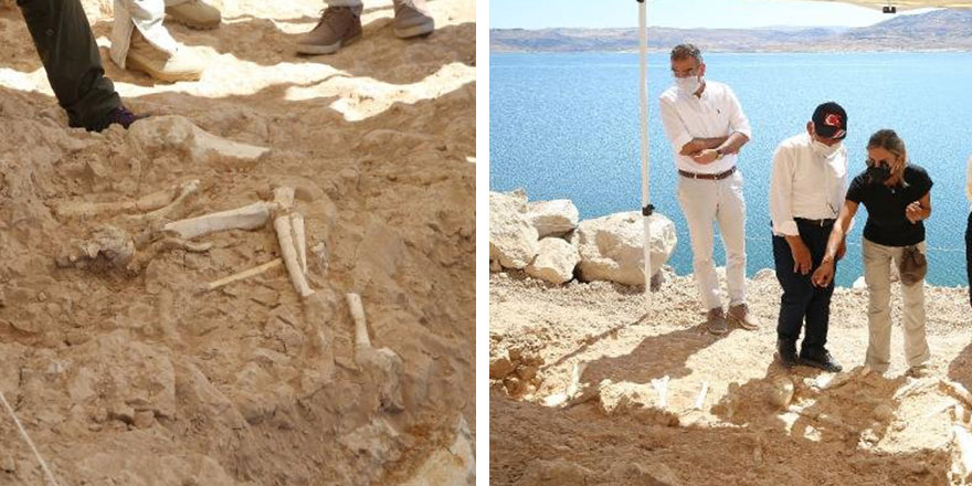 Yırtıcı etçillere ait fosiller bulundu