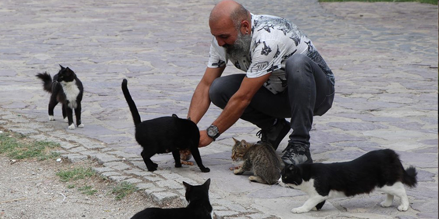 Onların kaderini mahkeme belirleyecek