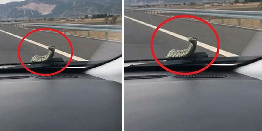 Yer Bursa: Trafiğin ortasında şoke eden olay