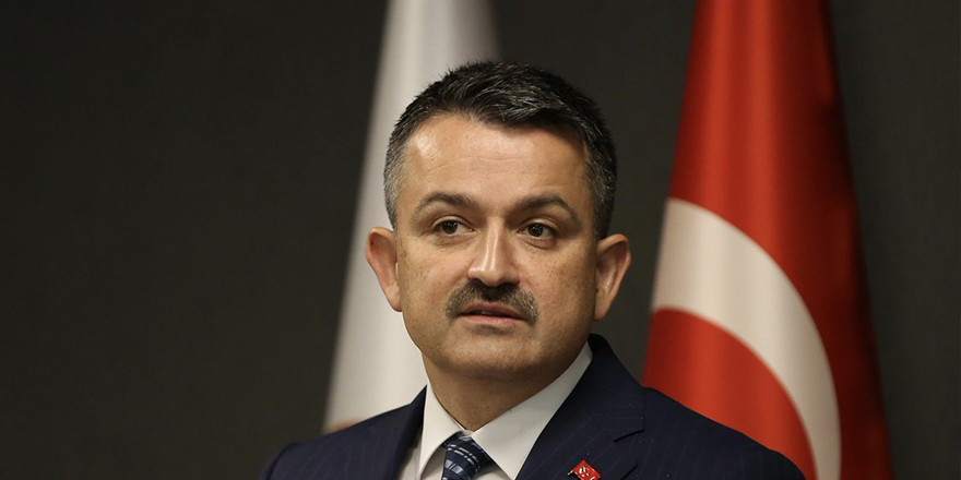 Bakan Pakdemirli'den Hatay'daki yangına ilişkin açıklama geldi