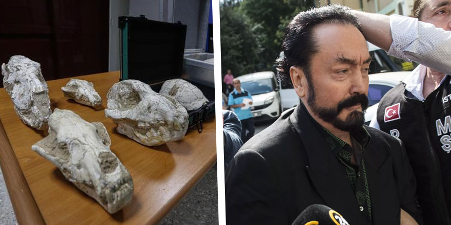 Adnan Oktar'ın villasında ele geçirilmişti... Fosillerin incelenmesi tamamlandı