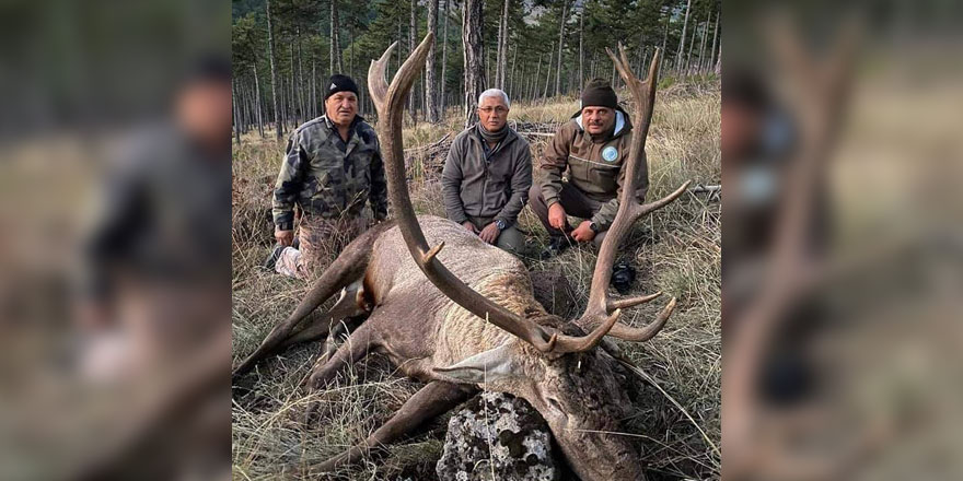 MHP'li eski Başkan Mehmet Kula, nesli tükenmekte olan geyiği vurdu