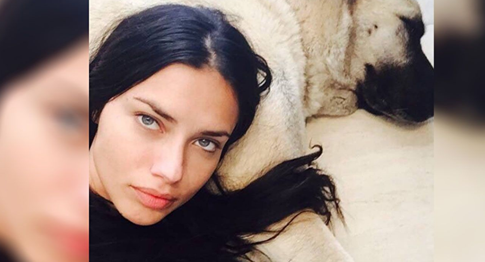 Kangal yetiştiricileri Adriana Lima'ya seslendi