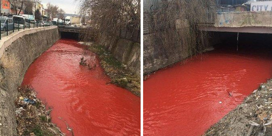 Vatandaşlar panik içinde! Ankara Çayı bu hale döndü