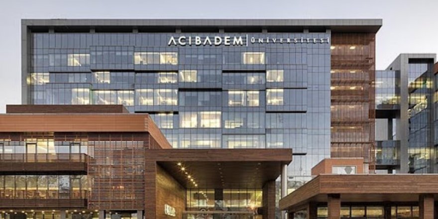 4 öğretim üyesi için ilan verdi