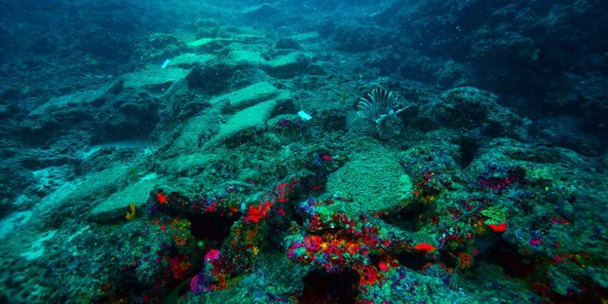 Antalya'da 3 bin 600 yıllık gemi batığı bulundu