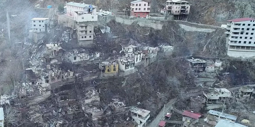 Artvin'in Yusufeli ilçesindeki yangın felaketinin boyutu gün ağarınca ortaya çıktı