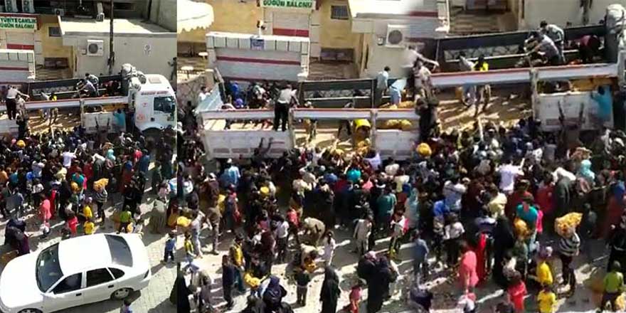 Şanlıurfa'da bedava patates izdihamına inceleme!