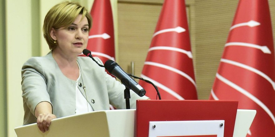 CHP'li Selin Sayek Böke korona virüse yakalandı 