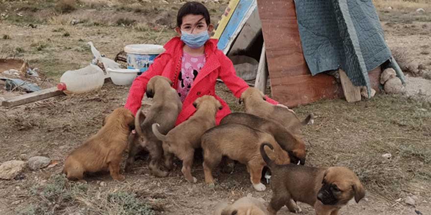 Zümra, 10 yavru köpeğin gönüllü bakıcısı oldu