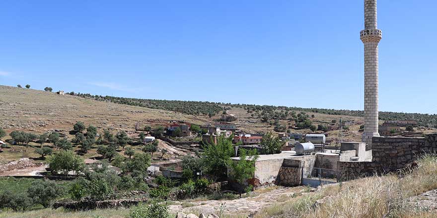 Mardin'in Pelitli Mahallesi'nde hiç korona vakasına rastlanmadı!