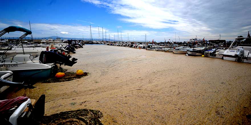 Marmara Denizi'ni deniz salyası esir aldı! Tehdit gittikçe büyüyor