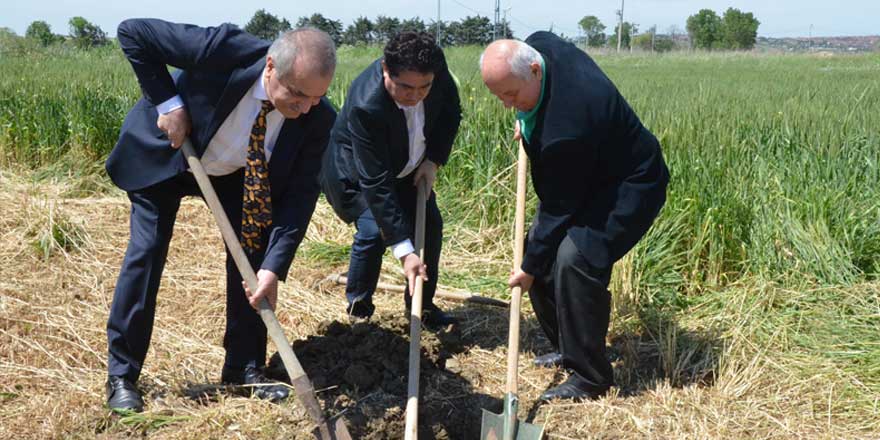 "HDP için değil şehitler için fidan diktik"