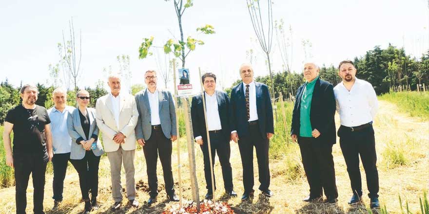 İYİ Partili Ahmet Çelik'ten İmamoğlu'na çağrı: Hatıra ormanı şehitlik ormanı olarak düzenlenmelidir