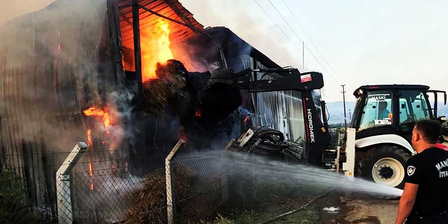 Manisa'da besi çitliğinde dev yangın! 700 ton kül oldu