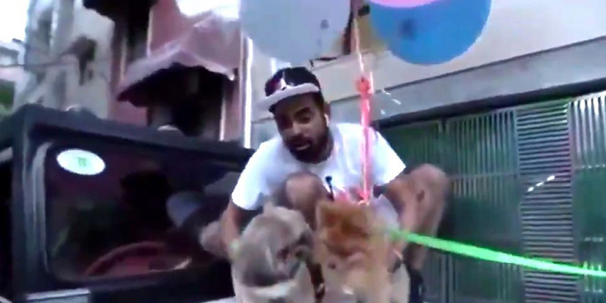 Köpeğini balonlarla uçurmaya çalıştı