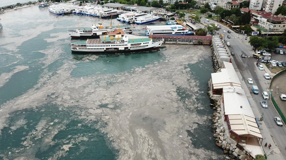 Bostancı'da müsilaj havadan görüntülendi