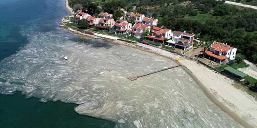 Uzmanlardan korkutan uyarı! Deniz salyası yeni bir salgına mı yol açacak?