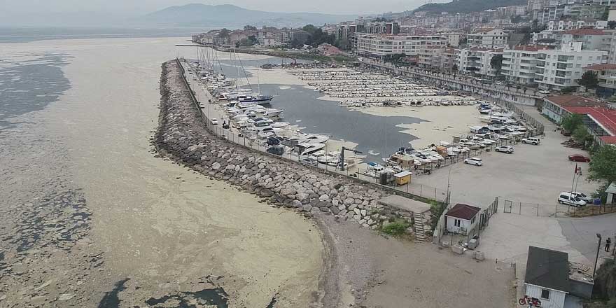 Deniz salyası çalışması yapan 'Bilim-2' karaya döndü