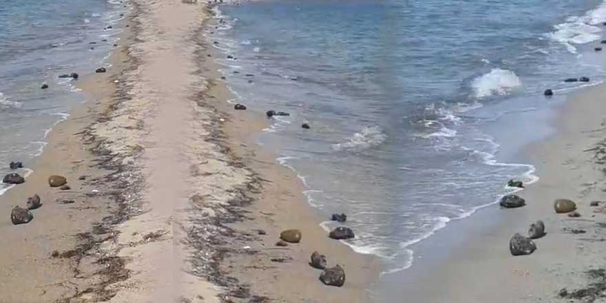 İzmir'de neler oluyor! "Bütün sahil bu iğrenç şeylerle dolu"