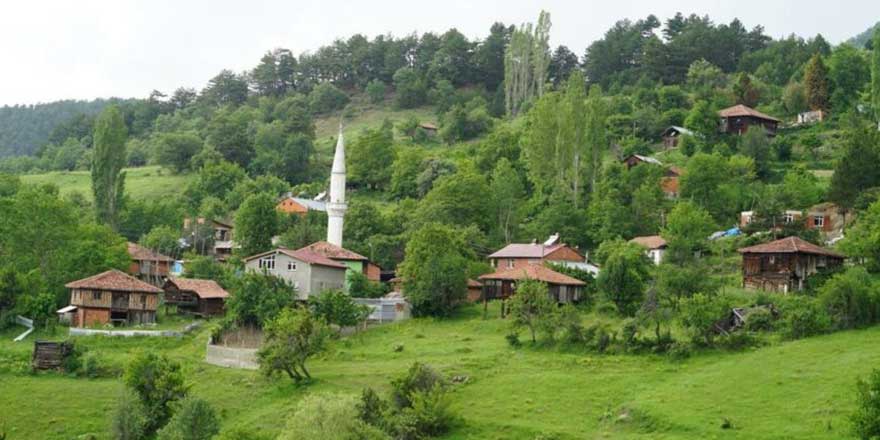 Cami anonsuyla akılalmaz tezgah: "Bal dudaklarıyla kandırdılar bizi!