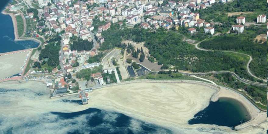 Bakan müsilaj temizliğindeki sonuçları açıkladı! Bir önceki hallerine bir de sonraki hallerine bakın