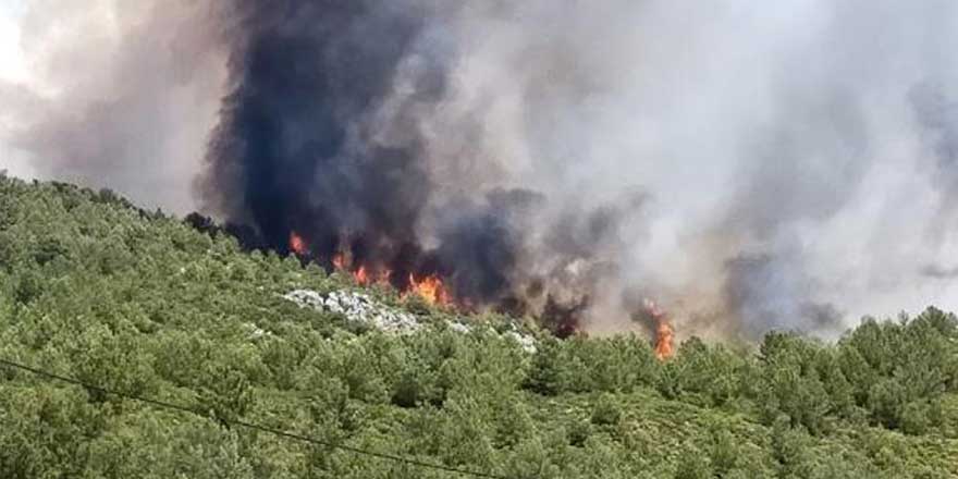 Kaş ve Bingöl'de orman yangını