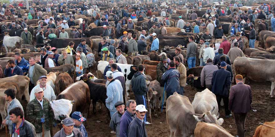 Bu yıl yasaklandı! Kurban Bayramı ile ilgili flaş gelişme