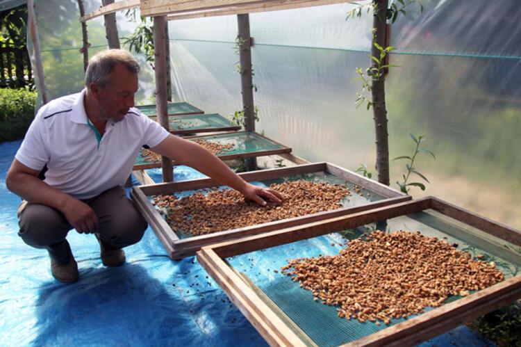 Özel izinle üretiliyor! Kilo fiyatı dudak uçuklatıyor